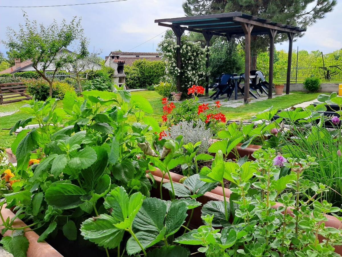 Cascina Teresina Monferrato Piscina Villa Cortazzone Bagian luar foto