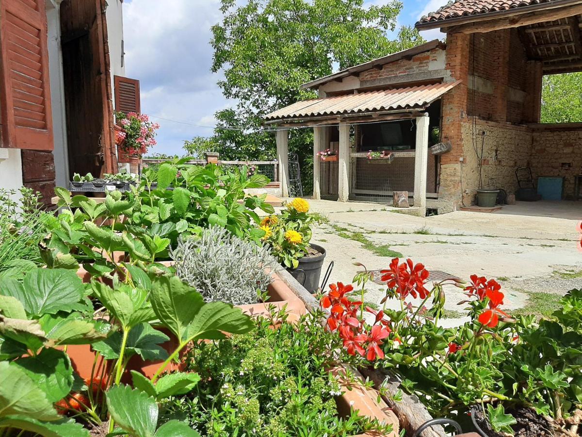 Cascina Teresina Monferrato Piscina Villa Cortazzone Bagian luar foto