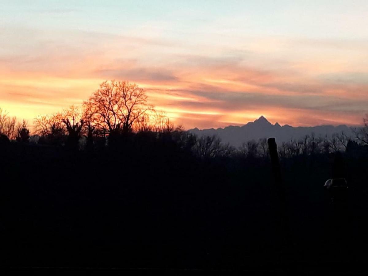 Cascina Teresina Monferrato Piscina Villa Cortazzone Bagian luar foto